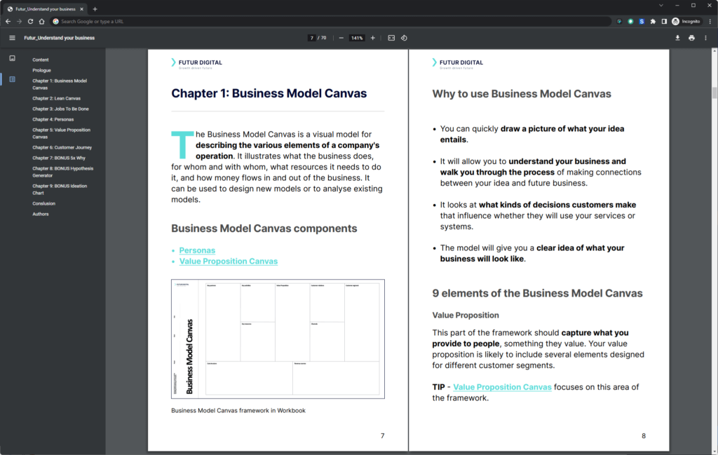 Excerpt from the e-book Understand your business - chapter focused on Business model canvas